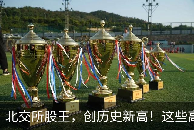 北交所股王，创历史新高！这些高成长科技股，砸出深坑（附名单）
